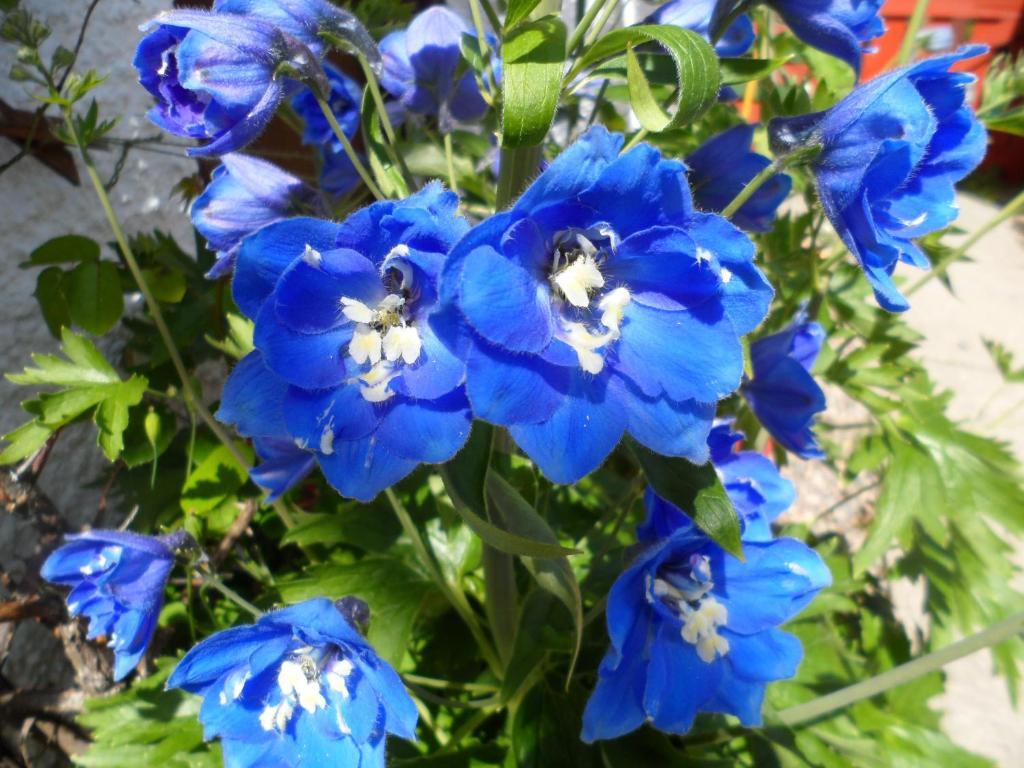 Creag Dubh Bed & Breakfast Kyle of Lochalsh Luaran gambar