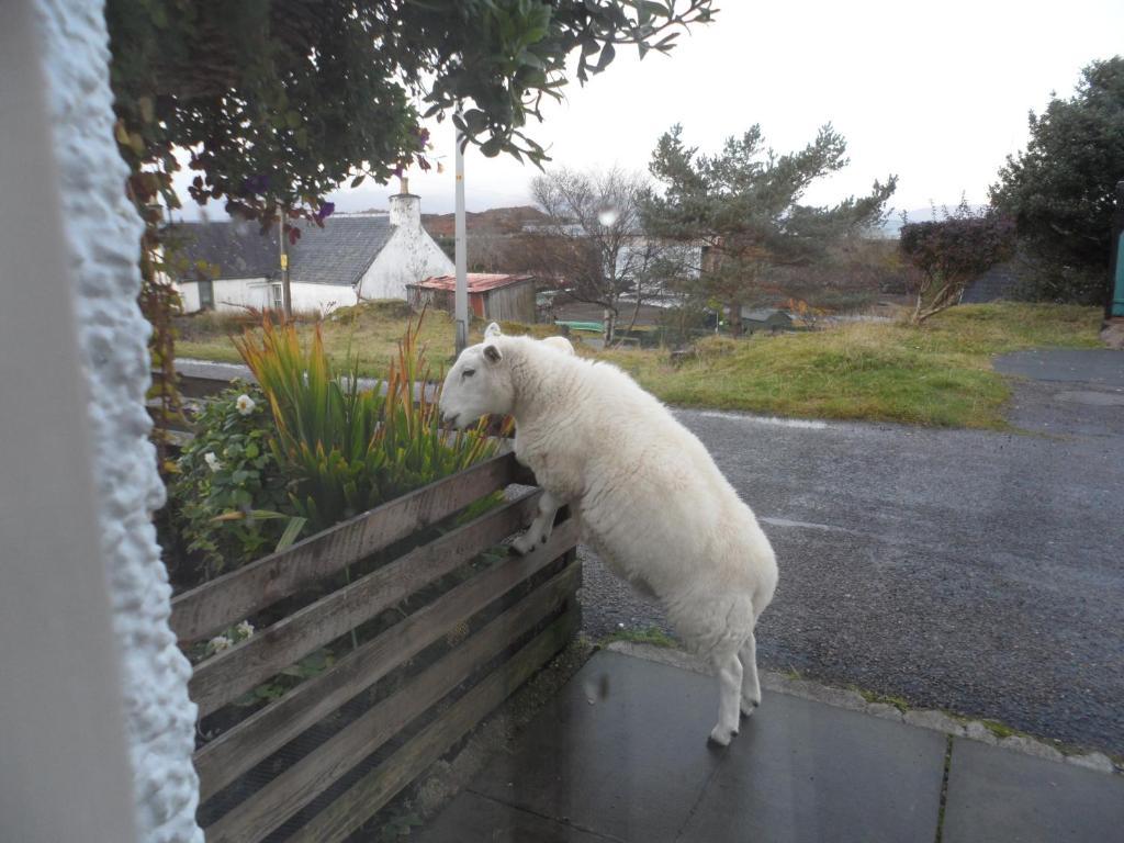Creag Dubh Bed & Breakfast Kyle of Lochalsh Luaran gambar